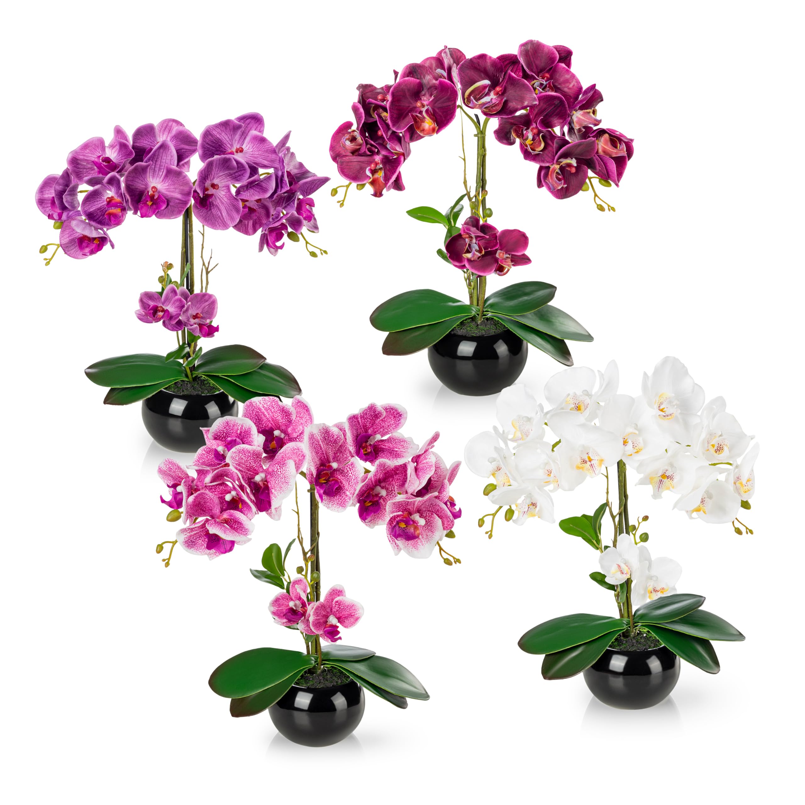 PASCH® 4er Set Künstliche Orchideen in Hochglanz-Keramiktöpfen (40cm) | Kunstblumen Wie Echt | Kunstblume Orchidee im Topf