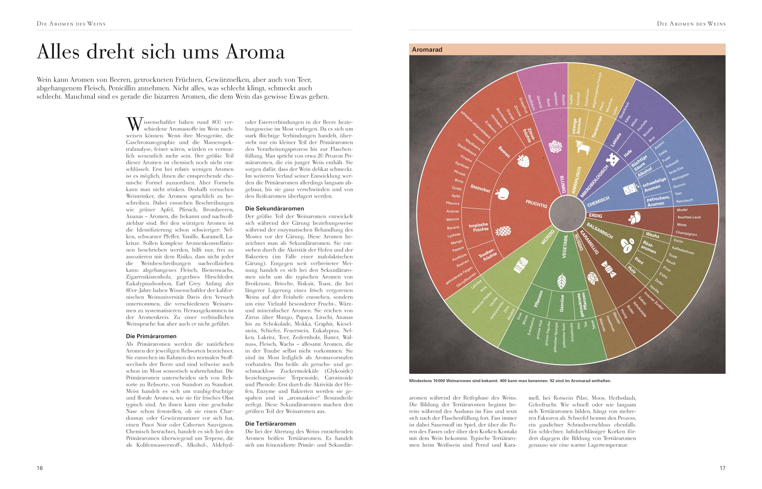 Wein: Die große Schule