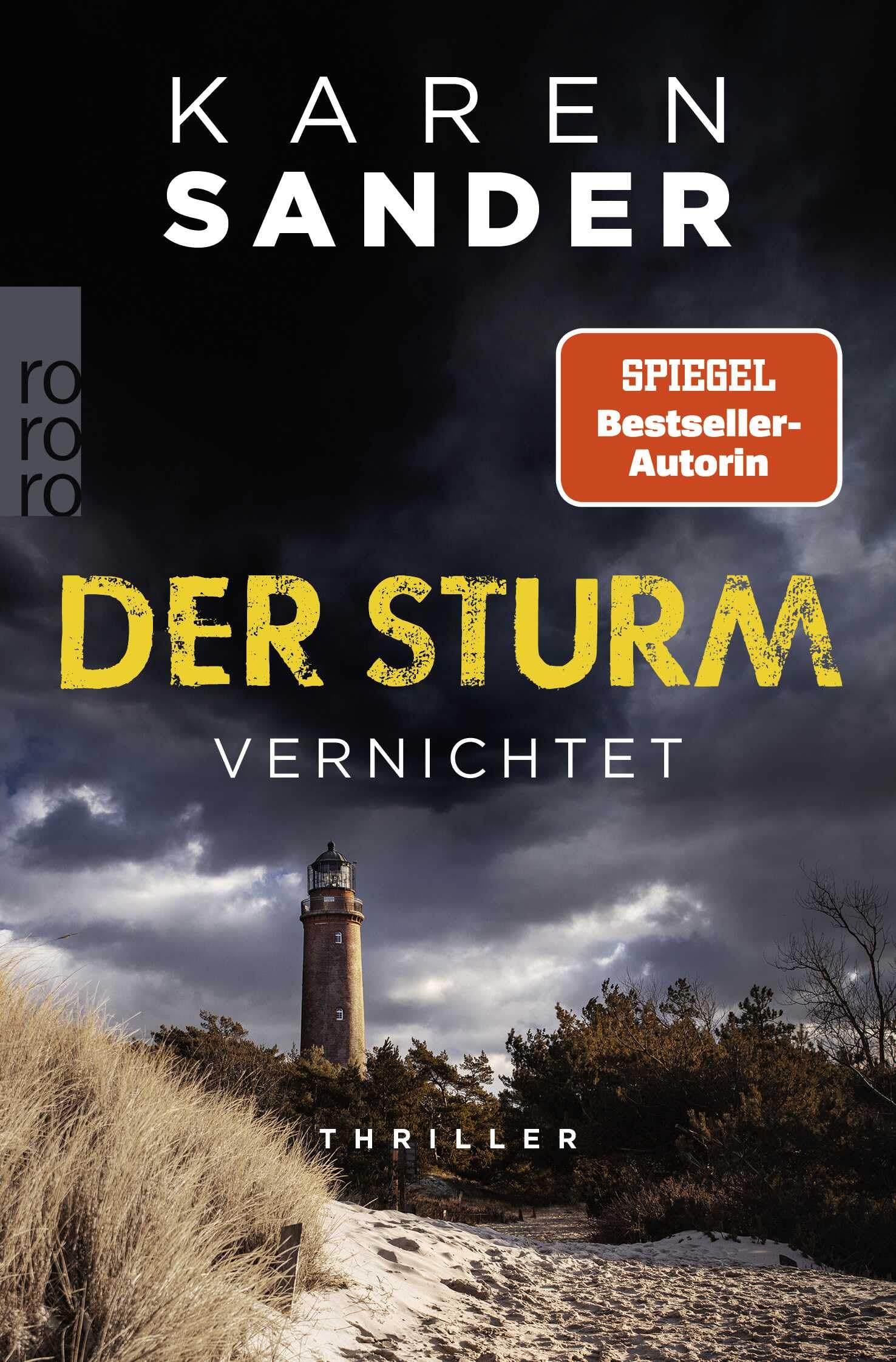 Der Sturm: Vernichtet: Thriller