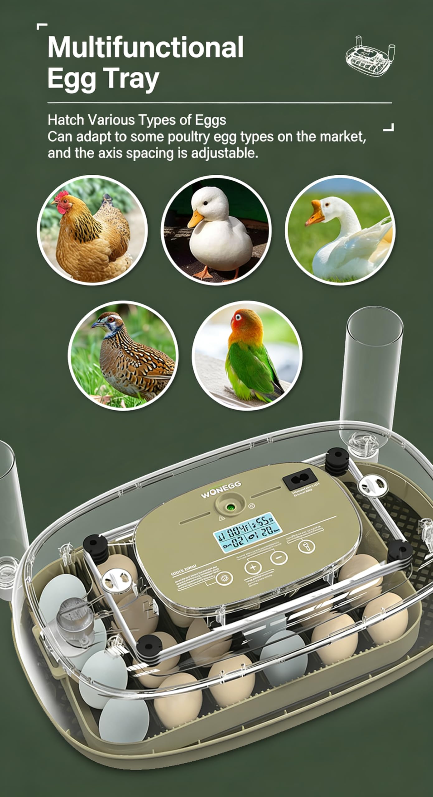 Incubadora de 24 huevos, huevos digitales automáticos para incubar con volteador completo, máquina de incubación de aves de corral con control de humedad, adición automática de agua para huevos de