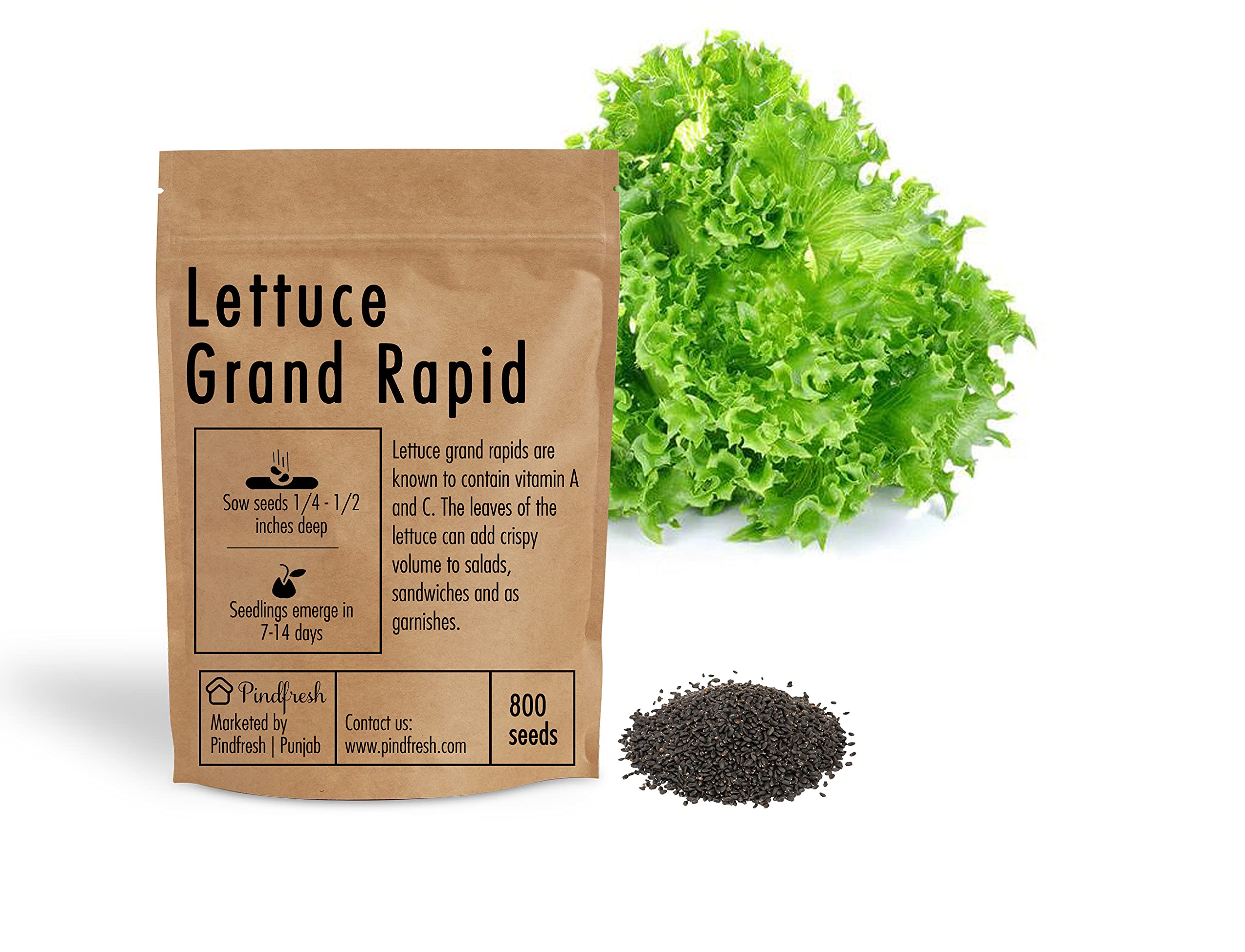 Pindfresh Seeds - LETTUCE GRAND RAPIDS SEEDS, Qty 1 packet contain 800 seeds - Hydroponics, Cocopeat & Soil Gardening. (B09D9KNW62) Amazon Price History, Amazon Price Tracker