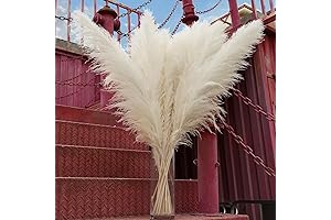 10PCS 40 INCH WHITE PAMPAS GRASS TALL DECOR - ESPIGAS PARA DECORACION...