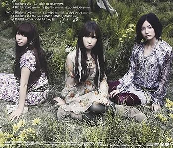 AKB 風は吹いている 通常 生写真 Amazon.co.jp: AKB48公式生写真風は吹いている通常盤【峯岸