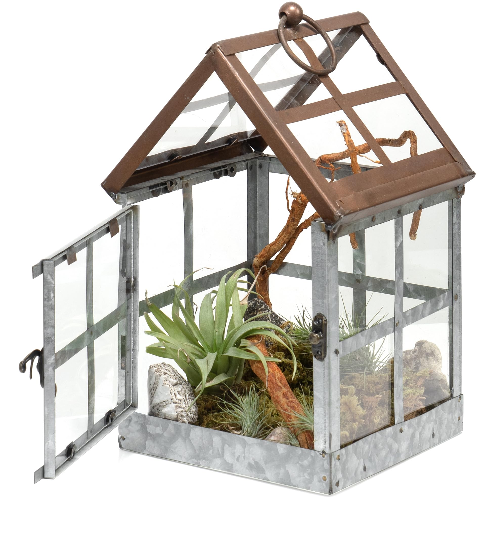 Amazon.com: Red Co. 11” Tabletop & Hanging Metal Frame Succulent ...