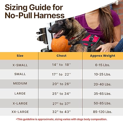 Miniatura 6 de Bark Appeal Arnés para perro, arnés sin tirones, ajustable y reflectante, arnés de chaleco acolchado suave sin estrangulamiento con mango de fácil