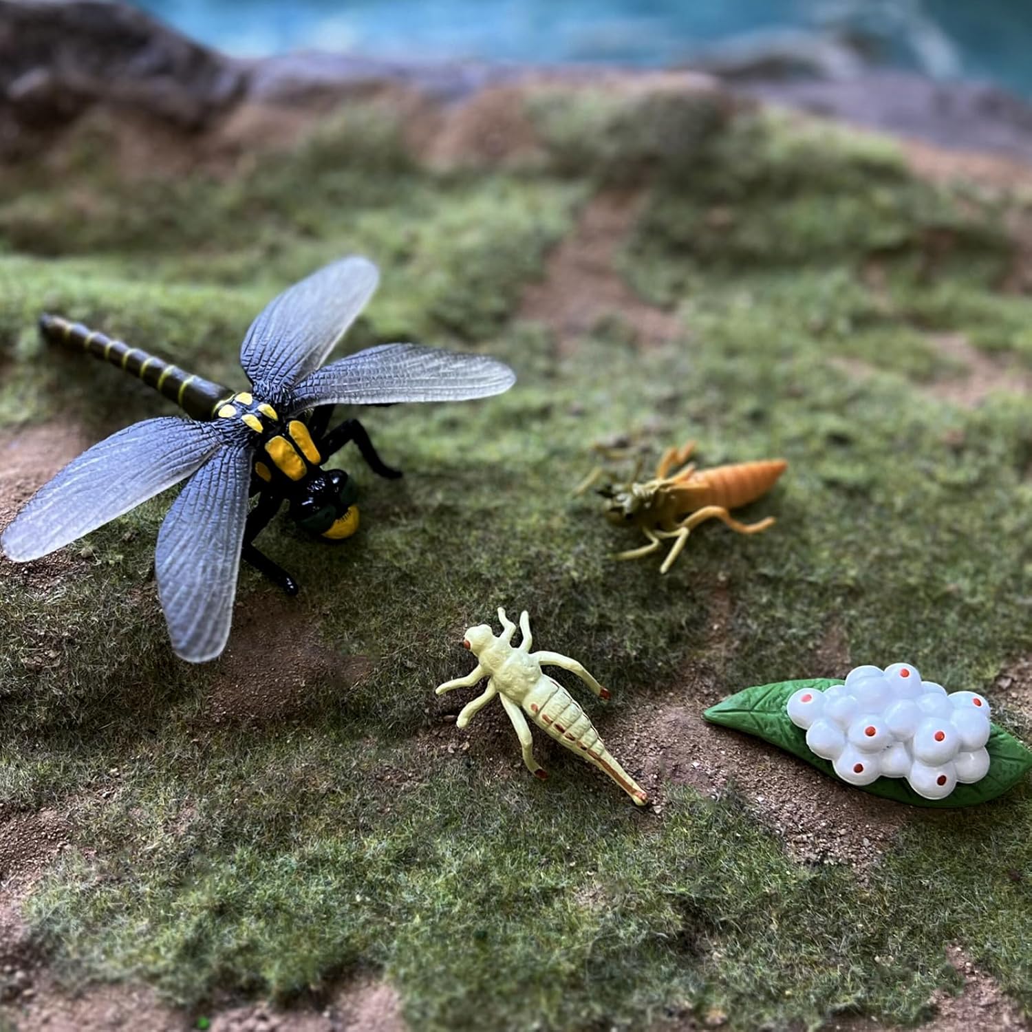 Gemini & Genius Life Cycle of Mosquito and Dragonfly Figurines, Insect Growth Diary Action Figures, Super Fun for Learning Gifts, Party Favors, Treasure Box Prizes, Goodie Bag Fillers, Family Fun