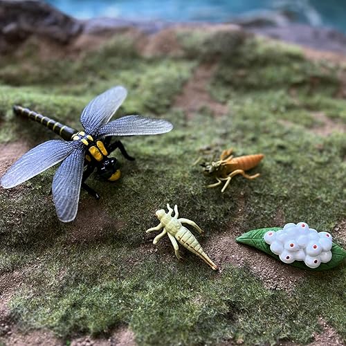 Miniatura 7 de Gemini & Genius - Figuras de ciclo de vida de mosquitos y libélulas, figuras de acción de diario de crecimiento de insectos, súper divertidas para