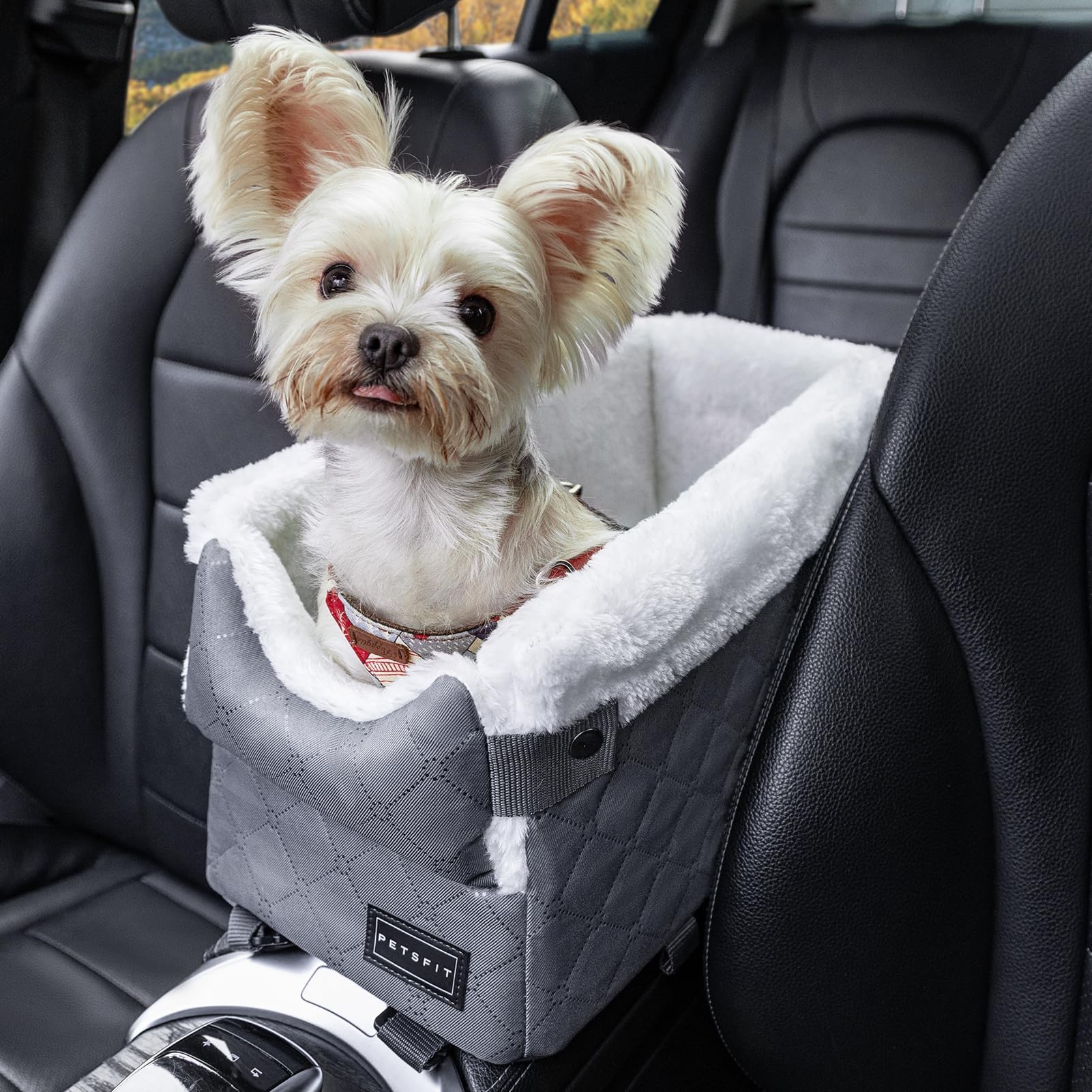 Petsfit Siège de voiture pour chien, console centrale sécurisée avec crochets, siège amélioré avec sangles de sécurité, coussin lavable