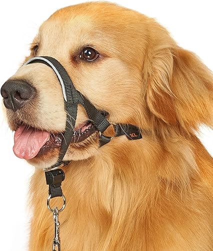 BARKLESS Collar de cabeza para perros, sin tirones de la cabeza para perros grandes, medianos y pequeños, para perros con correa de seguridad