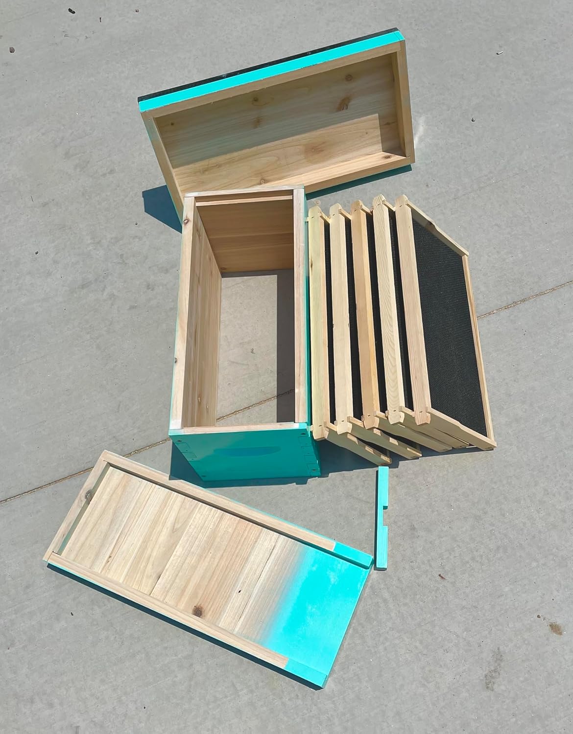 Complete 5 Frame Bee Nuc Box Painted with Waxed Foundation Frames (White)