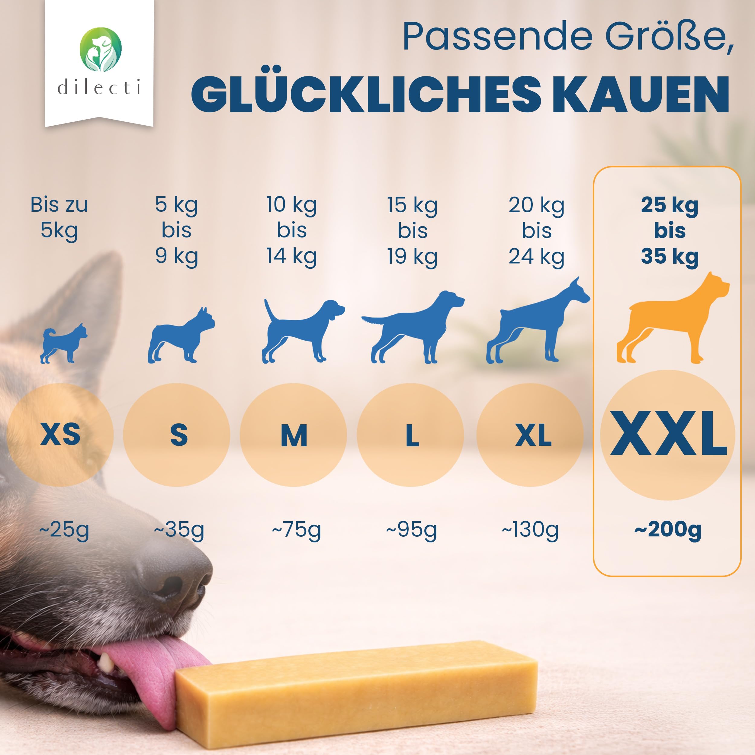 Kaukäse für Hunde - Natürliche Käsestangen aus 100% Hartkäse, Langanhaltender Kausnack & Käse-Kauknochen, Getreidefrei mit Zahnpflege, nach Himalaya-Rezept (Größe XXL, 3er-Pack)