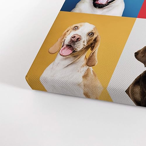 Vista 38 de Smile Art Design Border Collie Bulldog Rottweiler Cachorro Persa Gatito Animal Lienzo Impresión Arte de Pared Pet Cat Dog Lover Sala Dormitorio