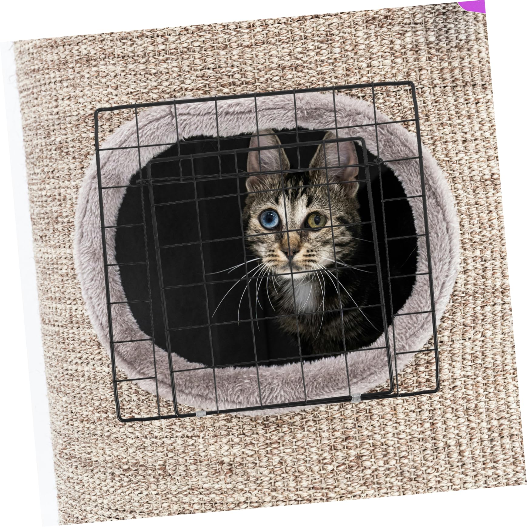 Puerta de Valla para Mascotas Engrosada de Hierro Negro, Resistente al Desgaste y Ensamblaje Libre para Jaulas de Gatos y Perros