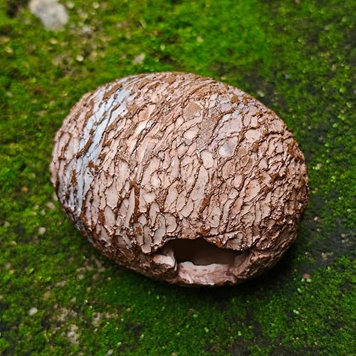 Egg-Shaped Reptile Hide Cave for Terrariums & Aquariums - Resin Hideout with Two Entrances - Compact Size for Small Pets (4.33 x 3.35 x 3.35 in)