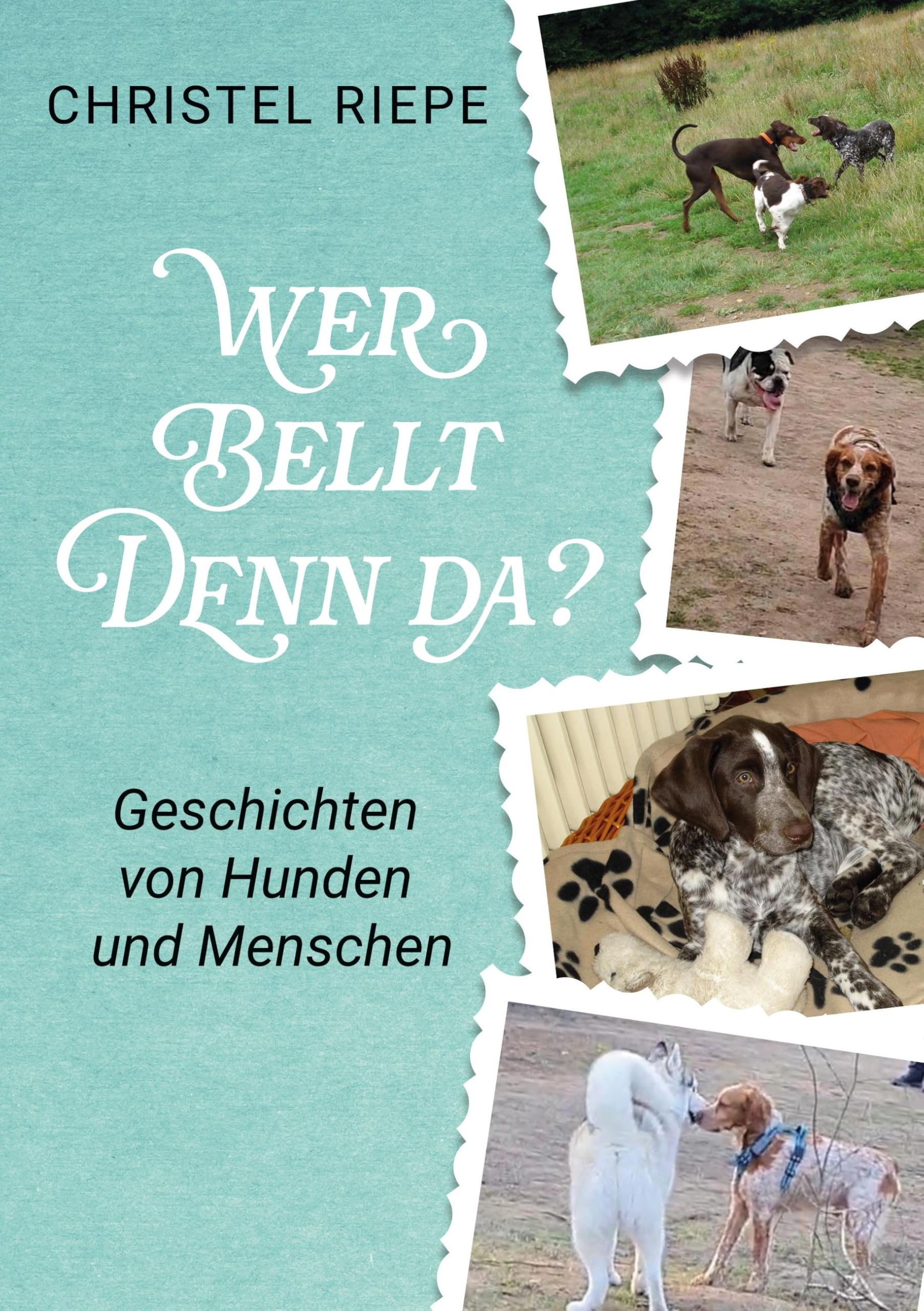 Wer bellt denn da?: Geschichten von Hunden und Menschen