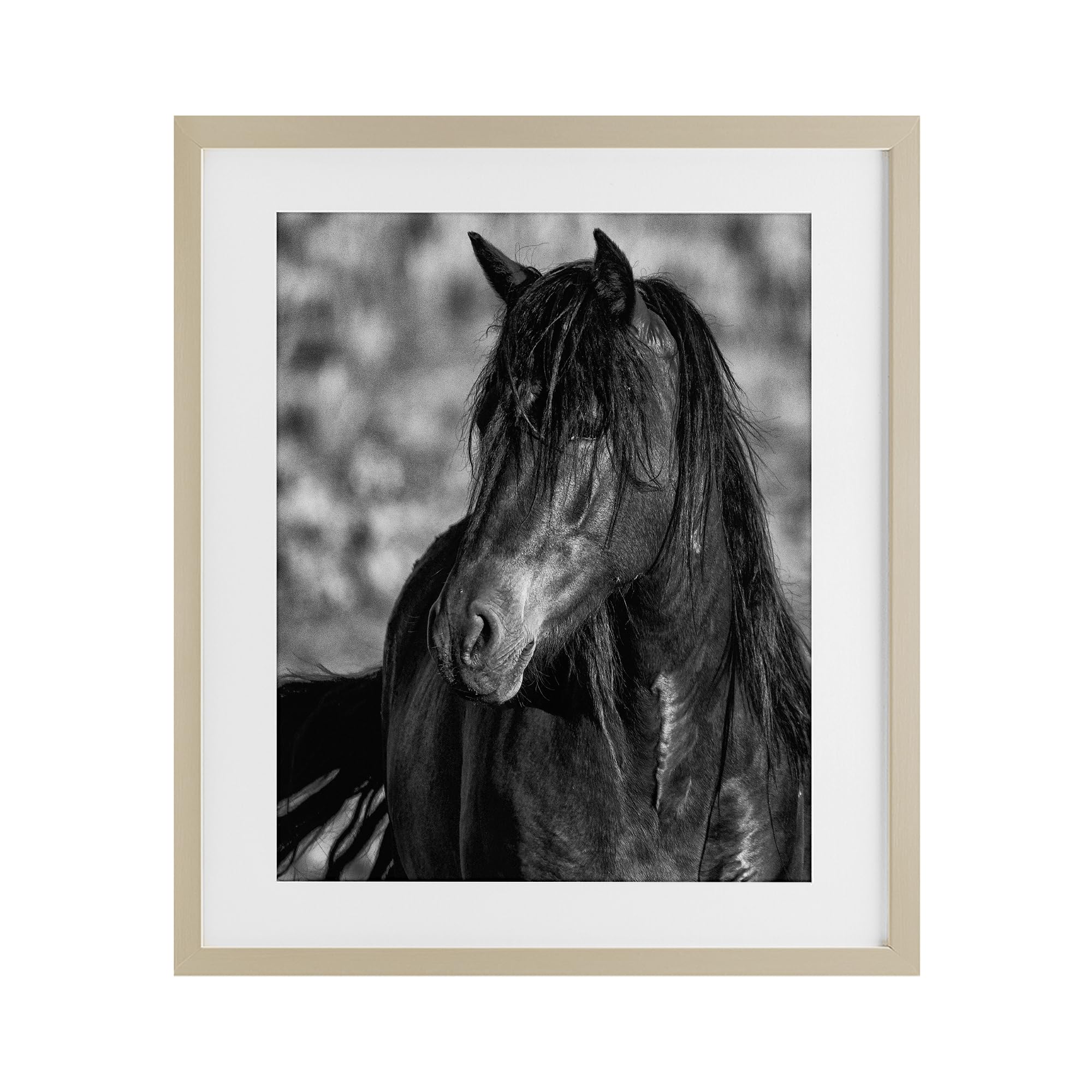 Stupell Industries Harvest Pine (Textured) 'Beauty In Black', Framed Print Under Glass, Brown, 13 X 16 Inches, Easy To Hang And Sturdy, Made In Usa, By Tim West