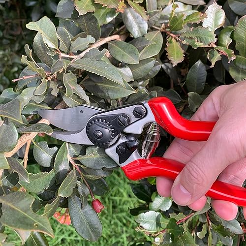 Miniatura 2 de Spear & Jackson 6657BS Razorsharp - Podadora de derivación de hoja corta profesional