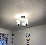 Review Image by Jeff Walker Jeff Walker