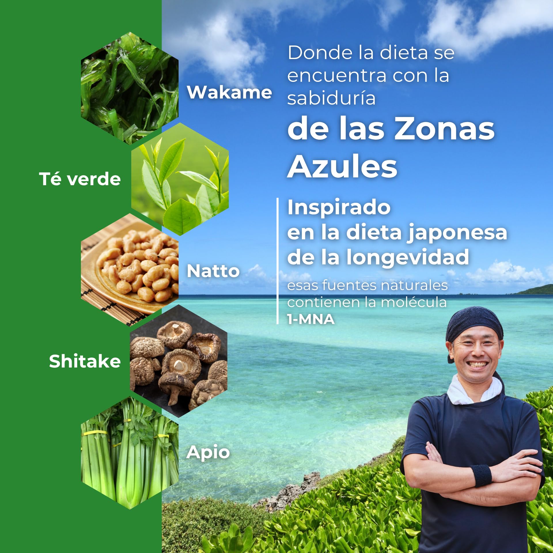 Vegan 1-MNA, NAD+ Optimizador, Antiedad, Vitaminas y Minerales para Mujeres y Hombres con D3, K2, B2, B6, B12, Ácido Fólico, Zinc, Hierro, Yodo, Selenio, Cansancio y la Fatiga, 30 Cápsulas