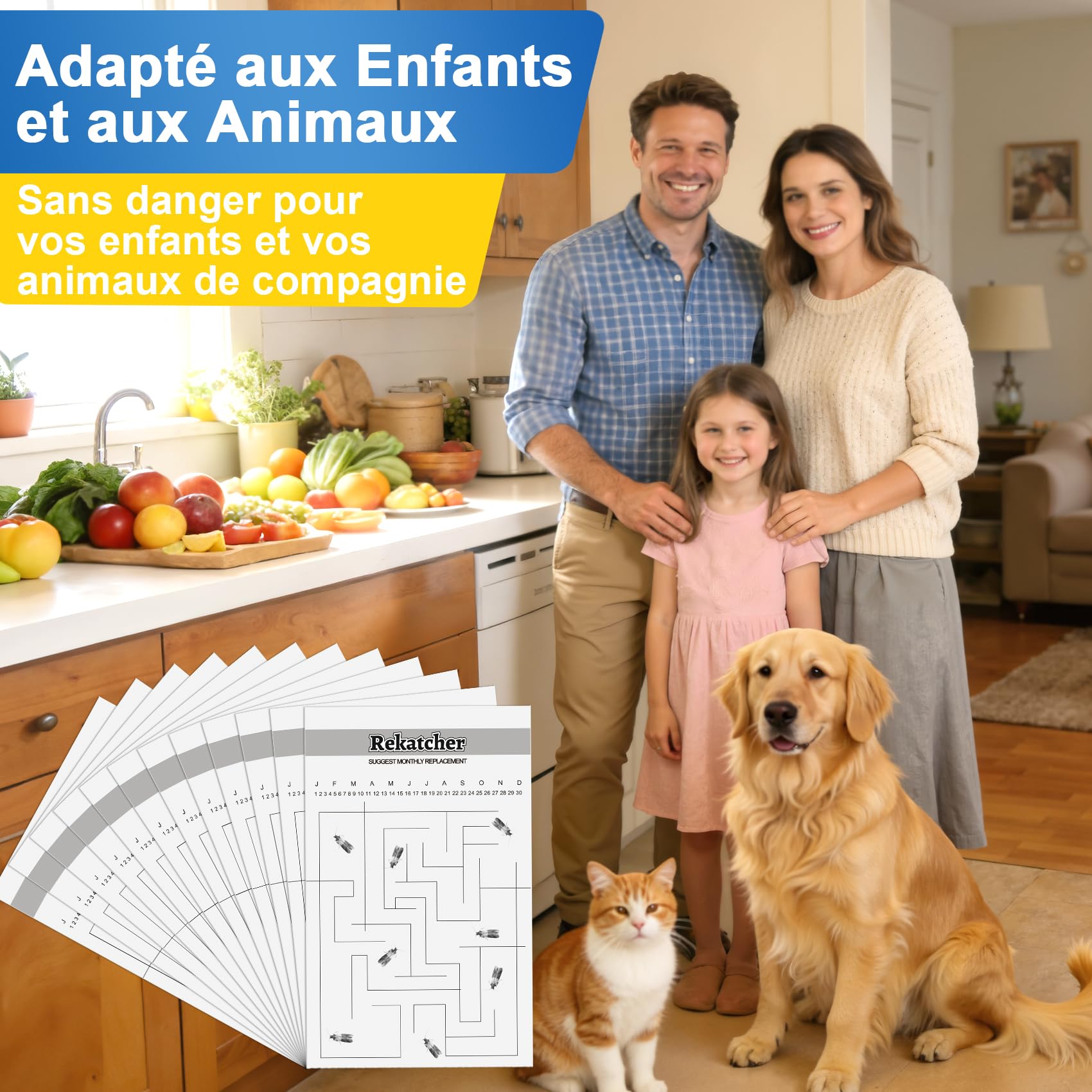 20 Pièces Anti Mites Alimentaires Piege Mites Alimentaires Piège Mite Alimentaire Anti Mite Alimentaire avec Le Plus Grand Attrait Convient pour Le Restaurant De Garde-Manger De Cuisine