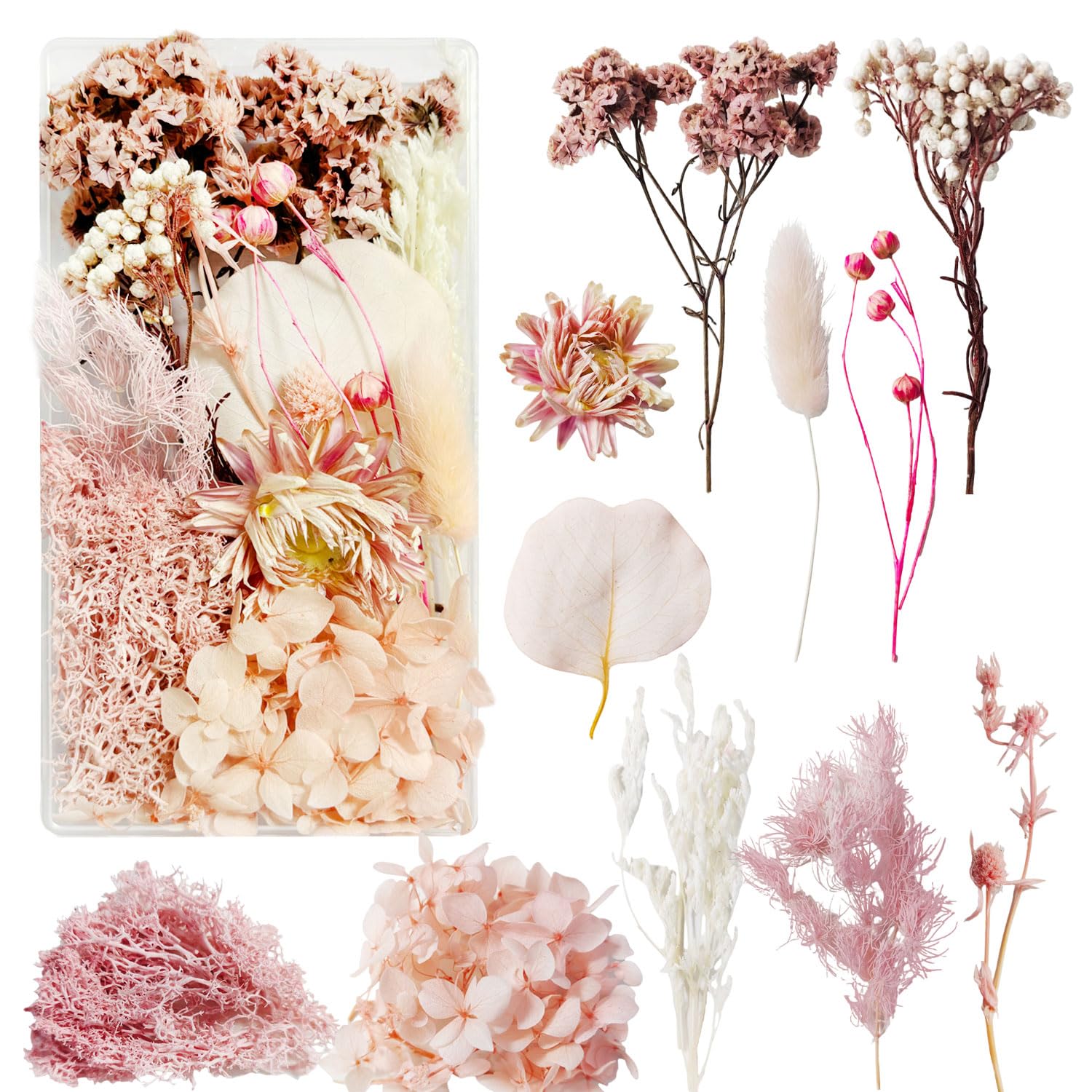 Flores Secas Manualidades Flores Preservadas Naturales Flores Secas Decorativas Flores Prensadas Secas Naturales para Marco de Foto DIY Decoración Artesanal (Rosa)