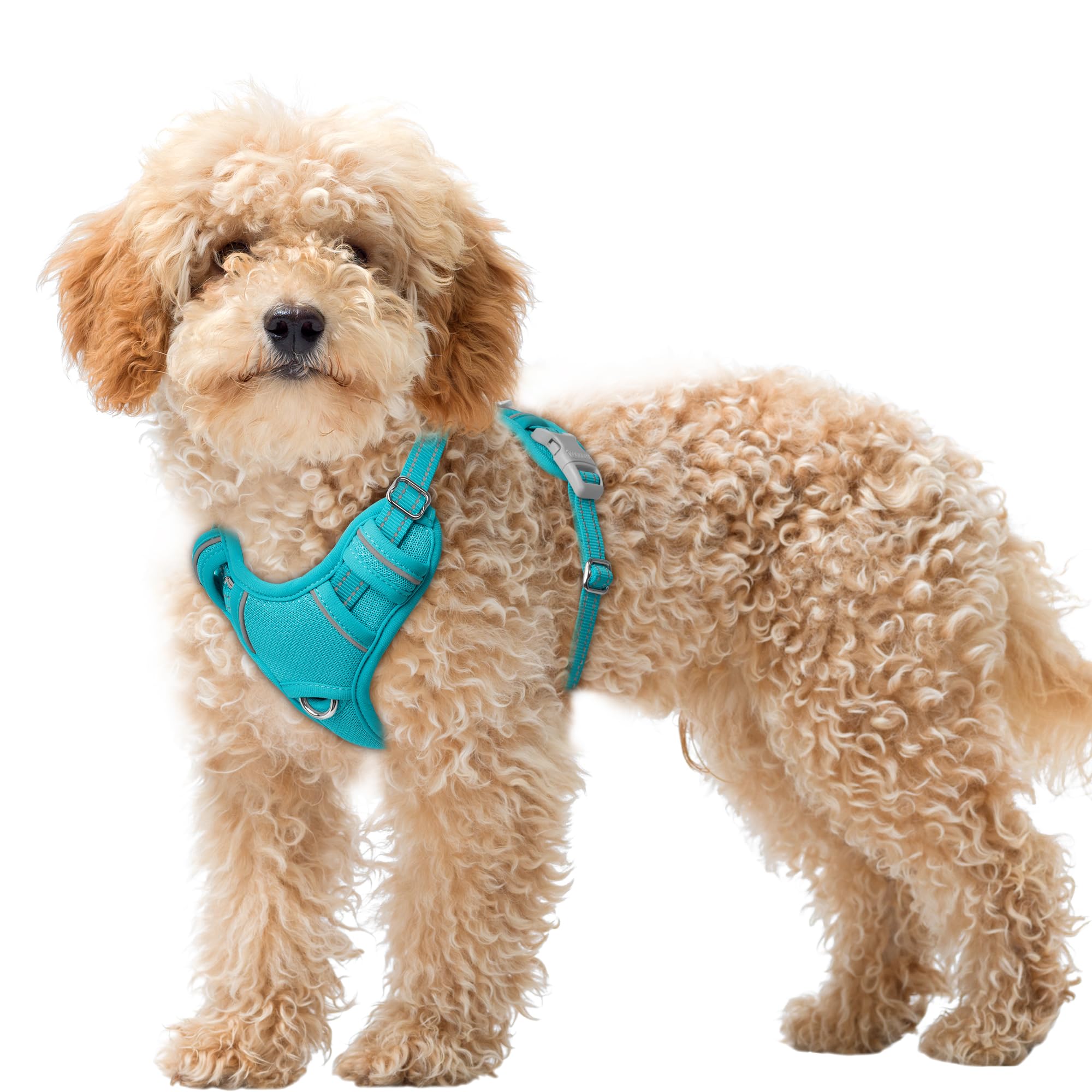 BARKBAY No Pull Dog Harness Large Reflective Dog Harness with Front Clip and Easy Control Handle for Walking Training Running with ID tag Pocket(Ocean Blue,XS)