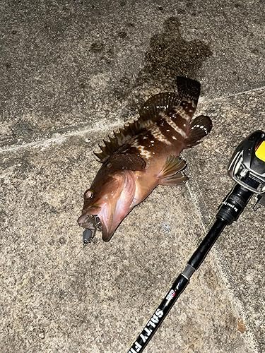 Amazon | AbuGarcia (アブガルシア) ソルティーフィールド SALTYFIELD