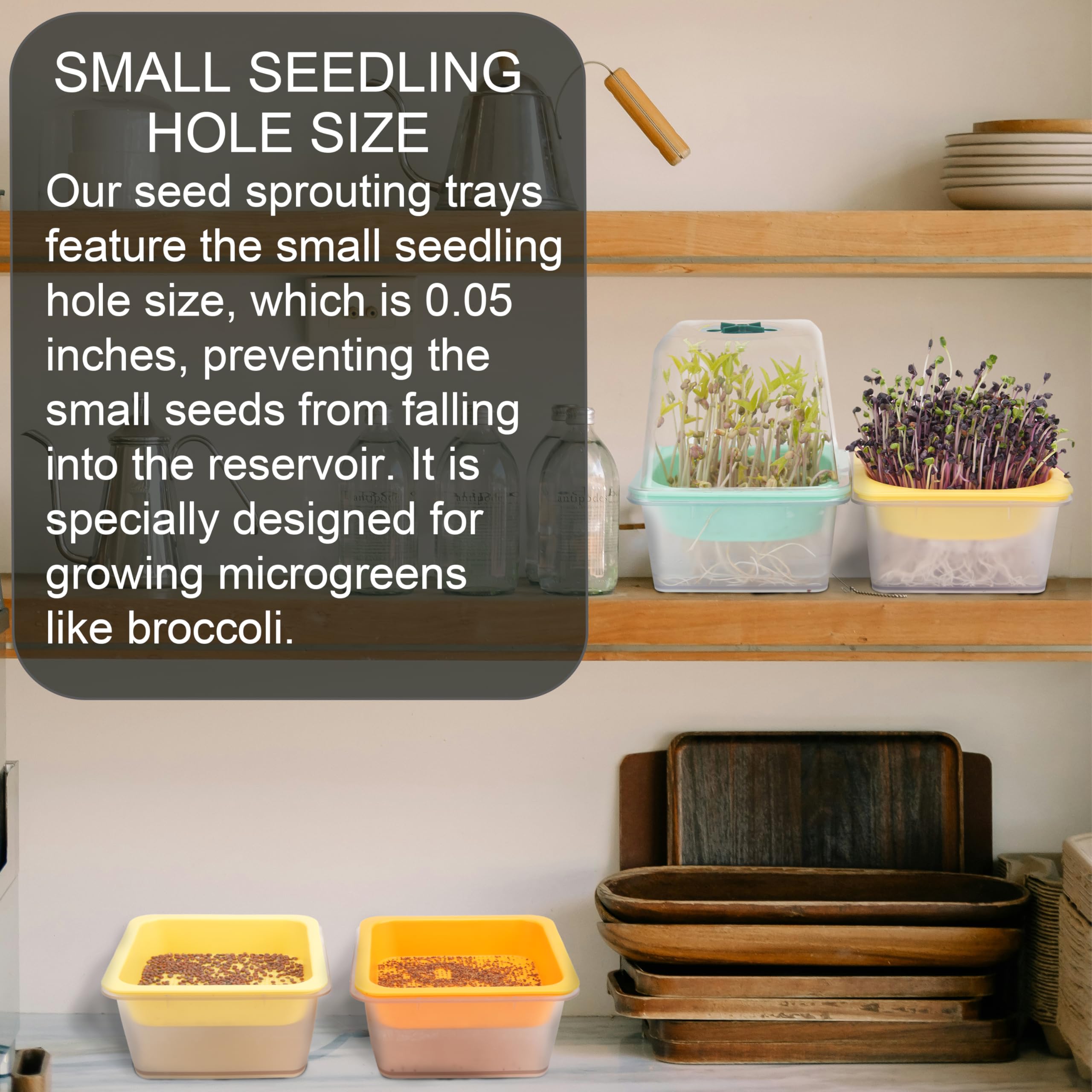 LUVCOSY Paquete de 6 bandejas transparentes para cultivo de brócoli