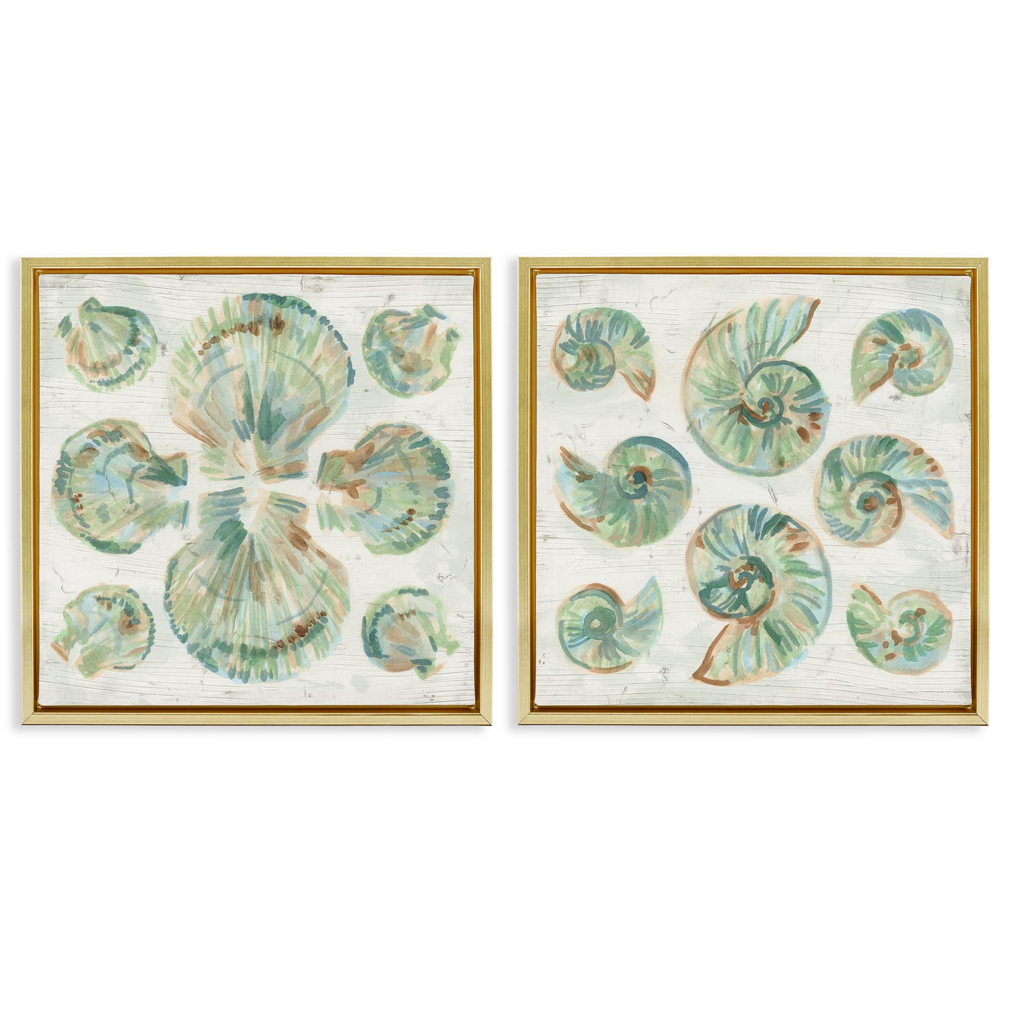 'Saltwashed Seashells Pattern'| 2pc Floating Frame Art Set 2