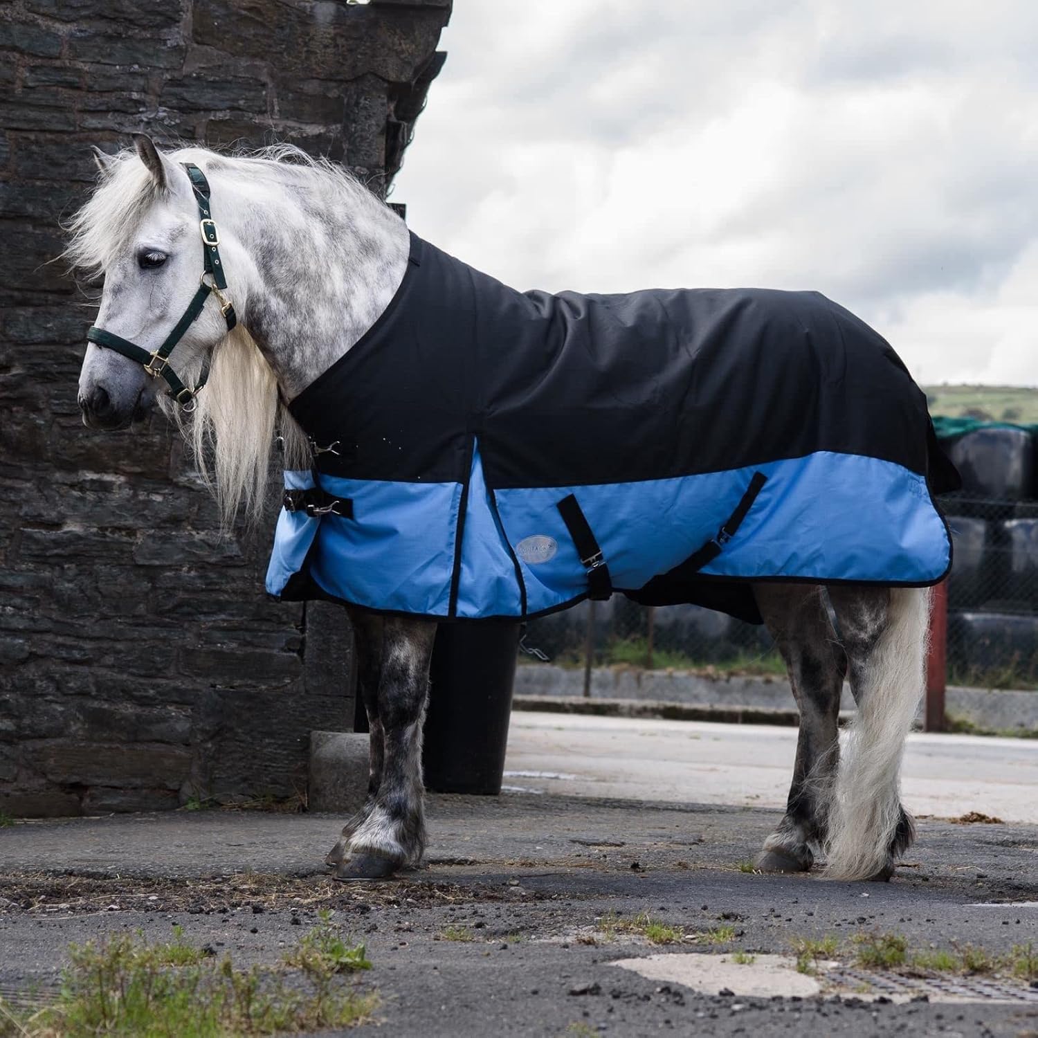 Equitack 1200 Denier Outdoor-Winter-Pferdedecke mit 100 g Füllung, Regular, Schwarz/Babyblau, 145 cm Equitack 1200 Denier Outdoor-Winter-Pferdedecke mit 100 g Füllung, Regular, Schwarz/Babyblau, 145 cm