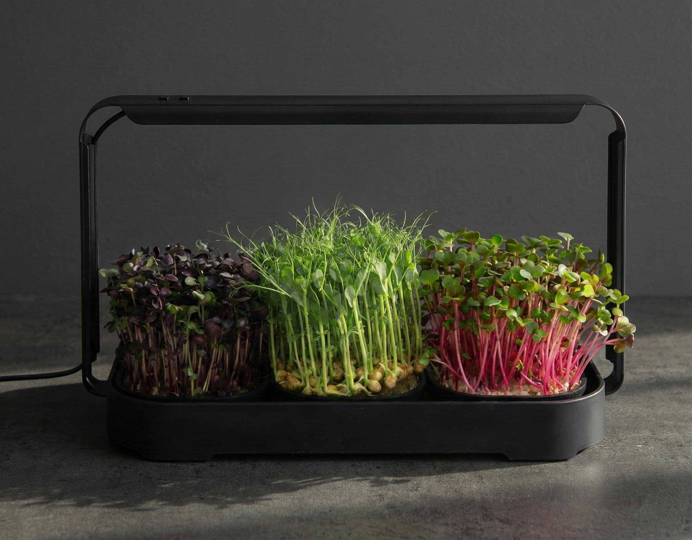 Microgreens Zestaw do uprawy w pomieszczeniach, do użytku wewnątrz i z oświetleniem LED, 3 mikrozielone tace do uprawy, 6 mat jutowych, zestaw do uprawy w pomieszczeniach i zestaw do