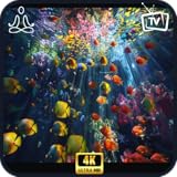 4K Virtual Aquarium-Tropical Fish Tank TV Screensaver