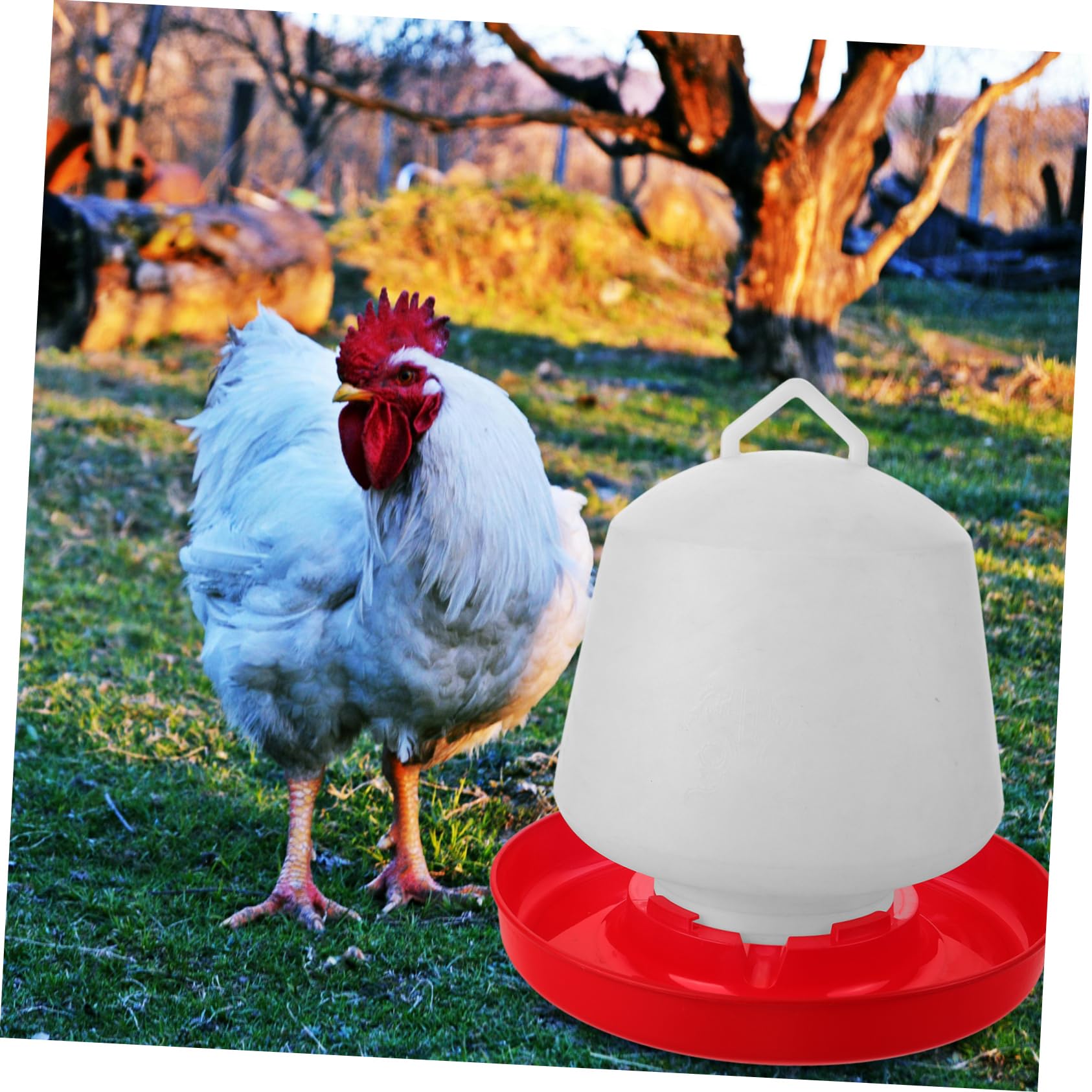 ibasenice Mangiatoia e Installazione Comoda Resistente alla Pressione per Pollame in Plastica Bianca Design Creativo per Alimentazione All'aperto di Polli e Piccioni