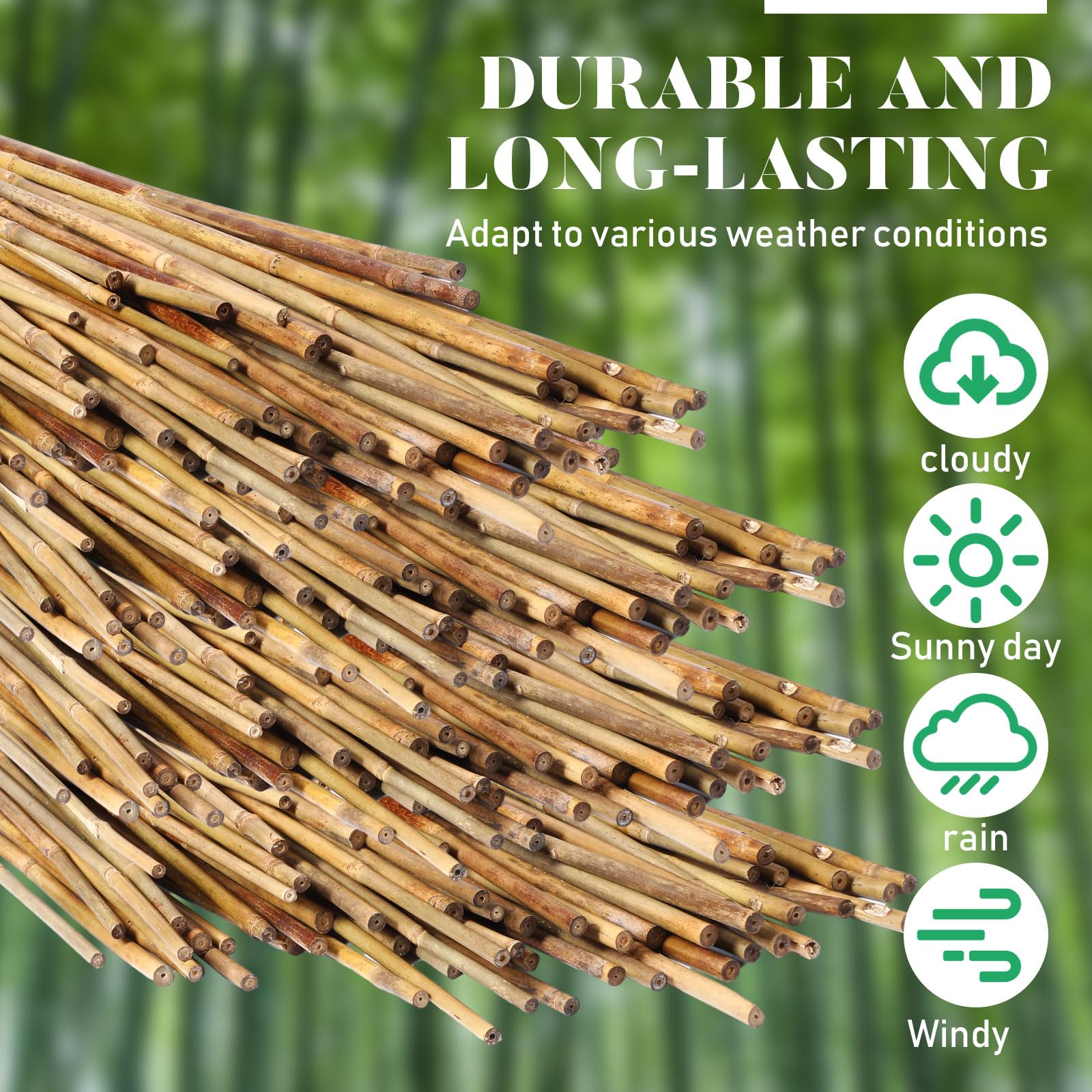 Suclain 100 Pcs Bamboo Plant Stakes Garden Plant Support Stakes Indoor suclain-100-pcs-bamboo-plant-stakes-garden-plant-support-stakes-indoor