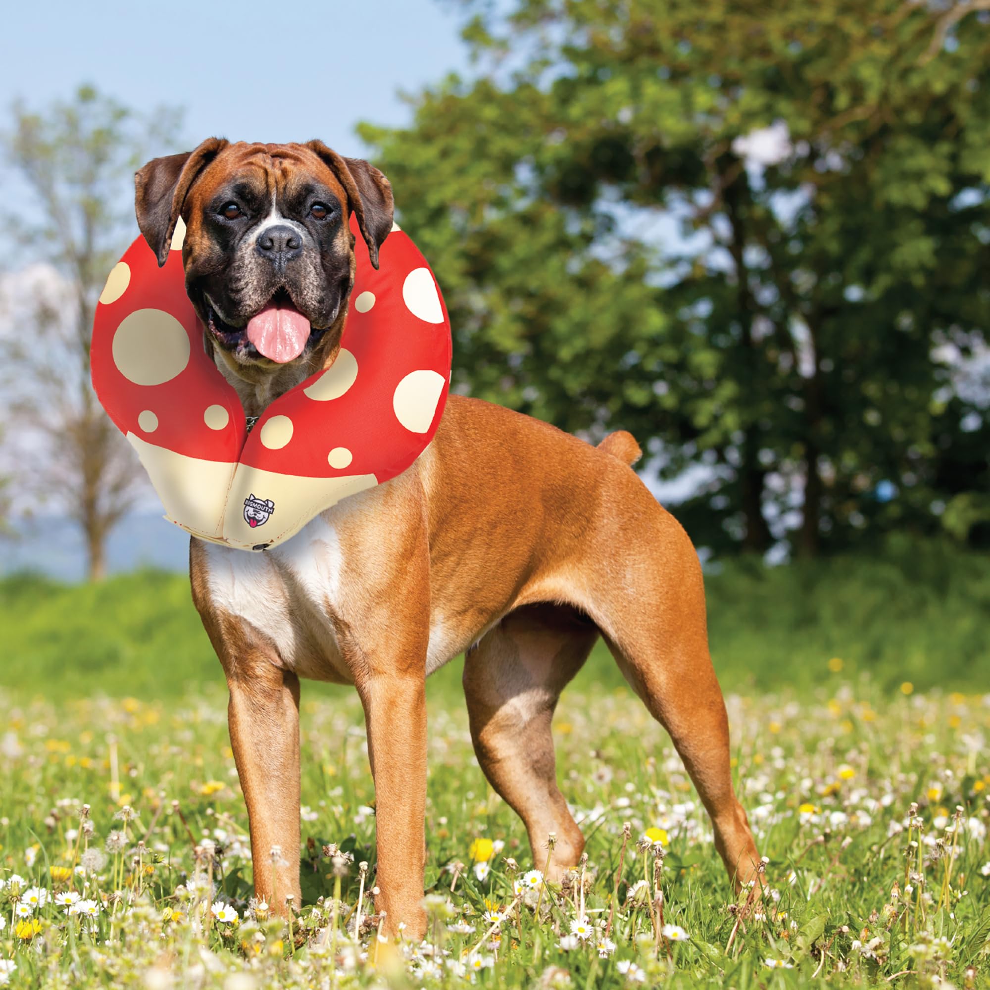 BigMouth Inc - Collare gonfiabile per il recupero del cane, comodo cono di ricambio per la chirurgia degli animali domestici, collari protettivi per prevenire leccare e mordere - Large