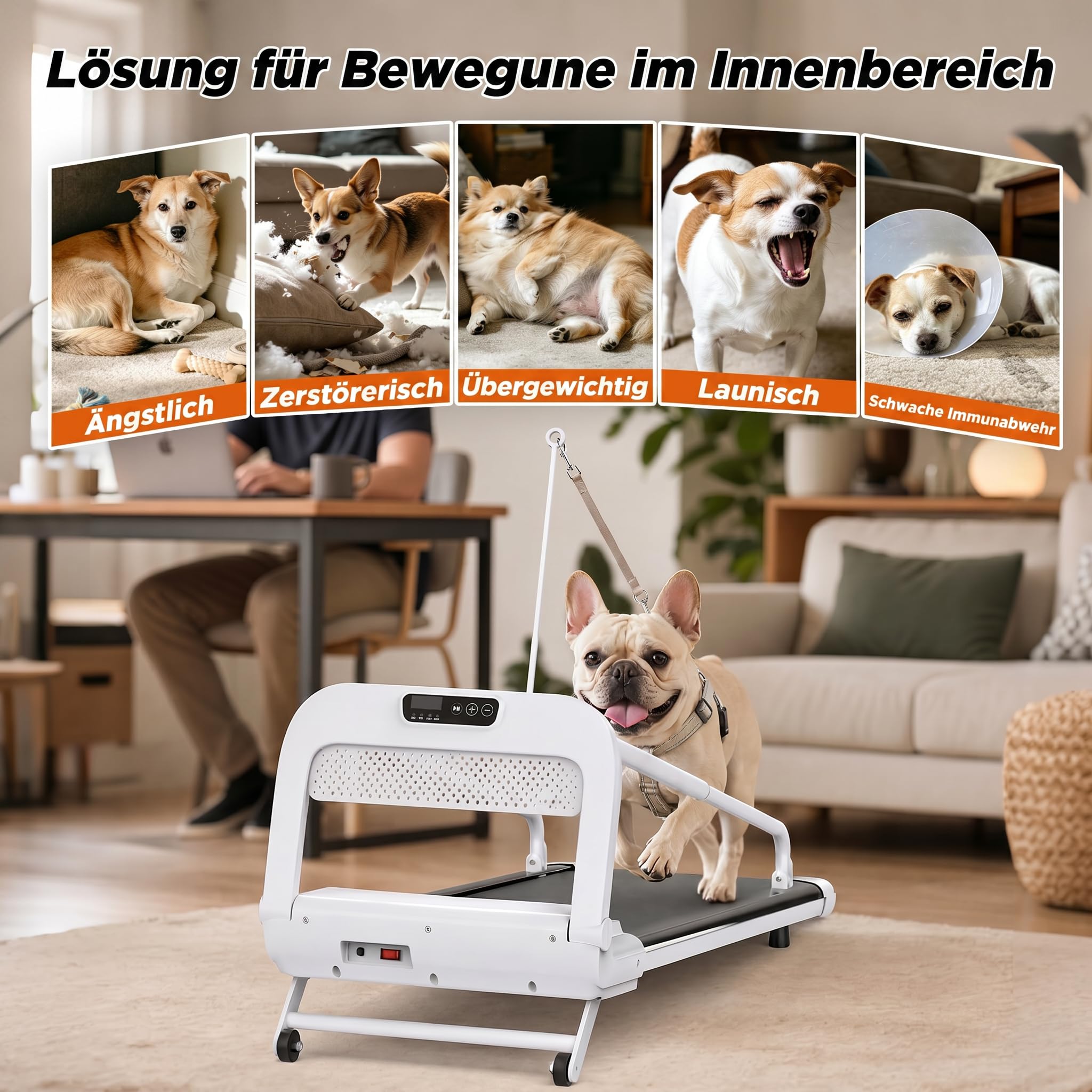 Hundelaufband für Kleine & Mittelgroße Hunde, 100 × 40 cm Laufbereich