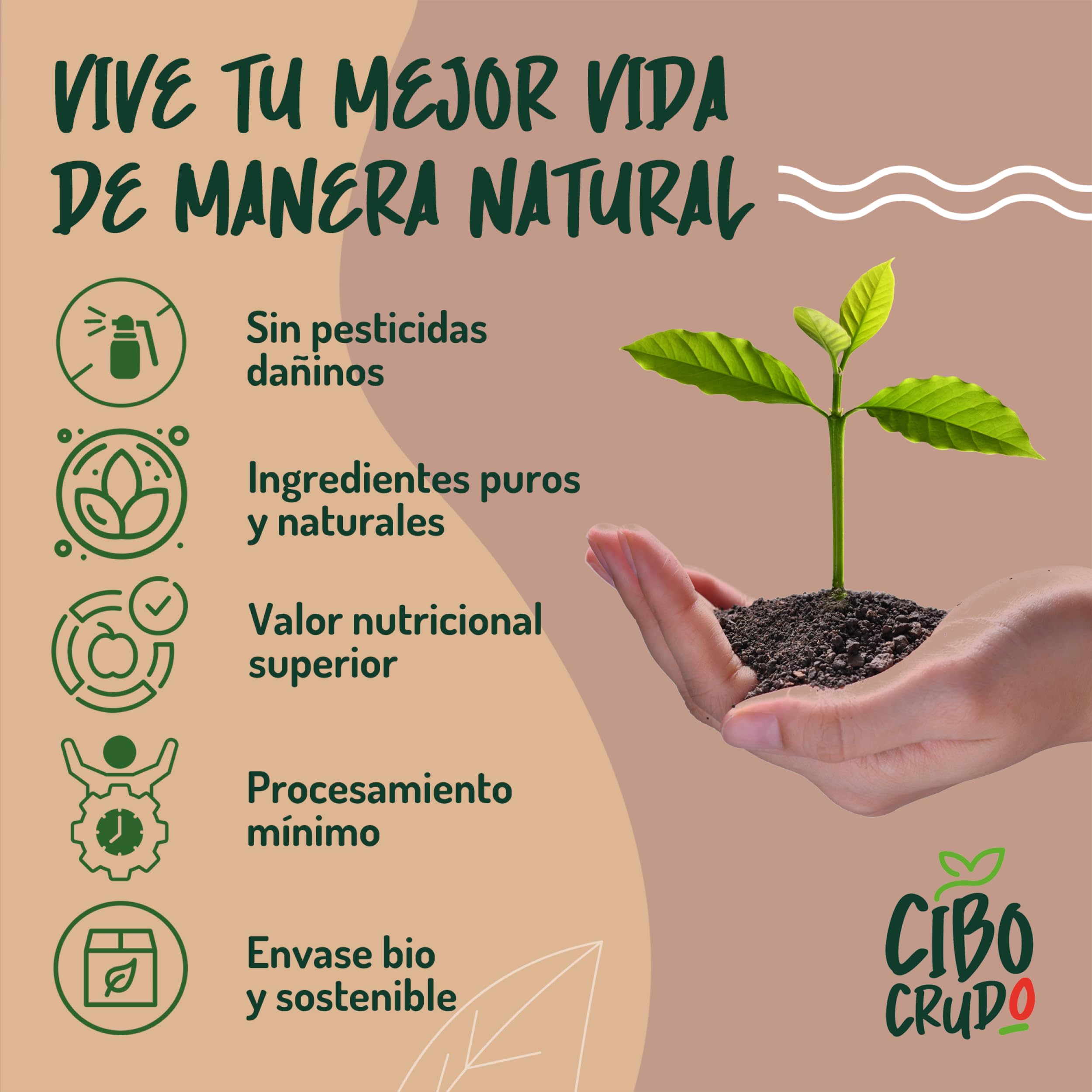 Granos de Cacao Crudo Orgánico 250g - Cacao Puro de Guatemala, Grano o Nibs 100% Natural