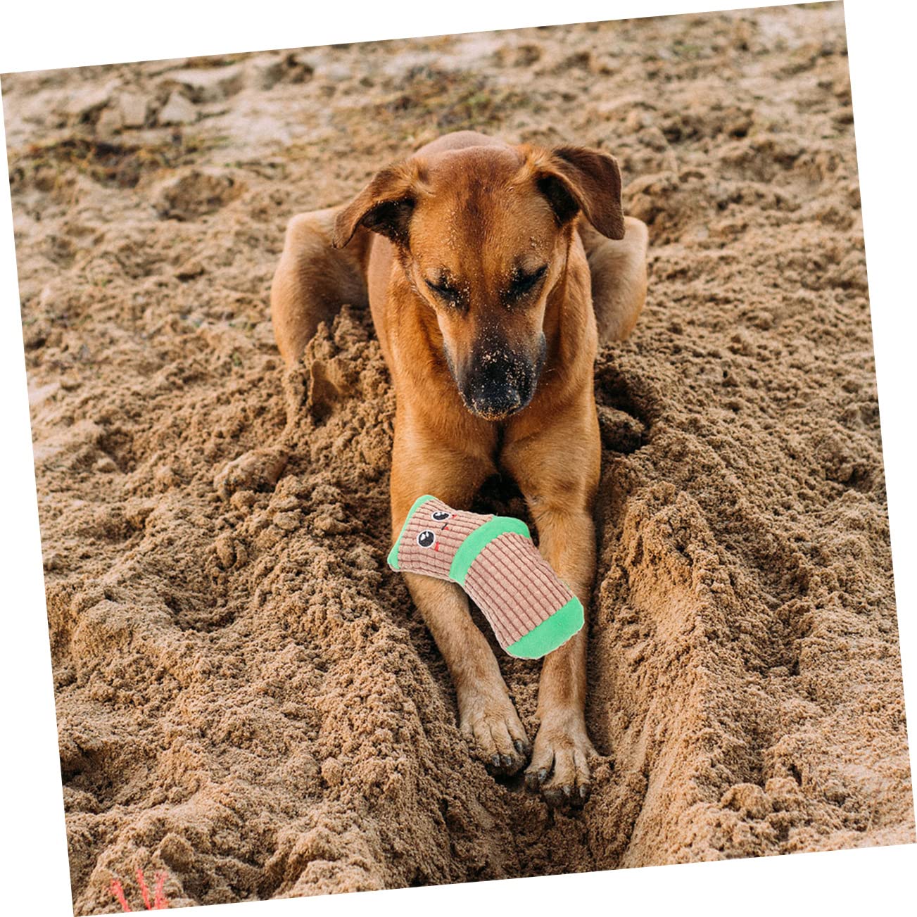 POPETPOP 6 Pares Juguete Masticadores Agresivos Calcetines para Gatos Dibujos Animados De Peluche Perro Calcetines para Mascotas Felpa