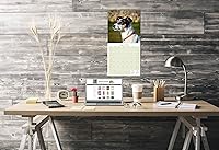 Vista 1242 de Razas de Perros 2017