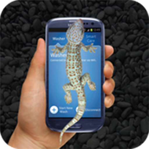 Gecko On Screen Prank - Scary Geckos in Phone - App on the Amazon Appstore