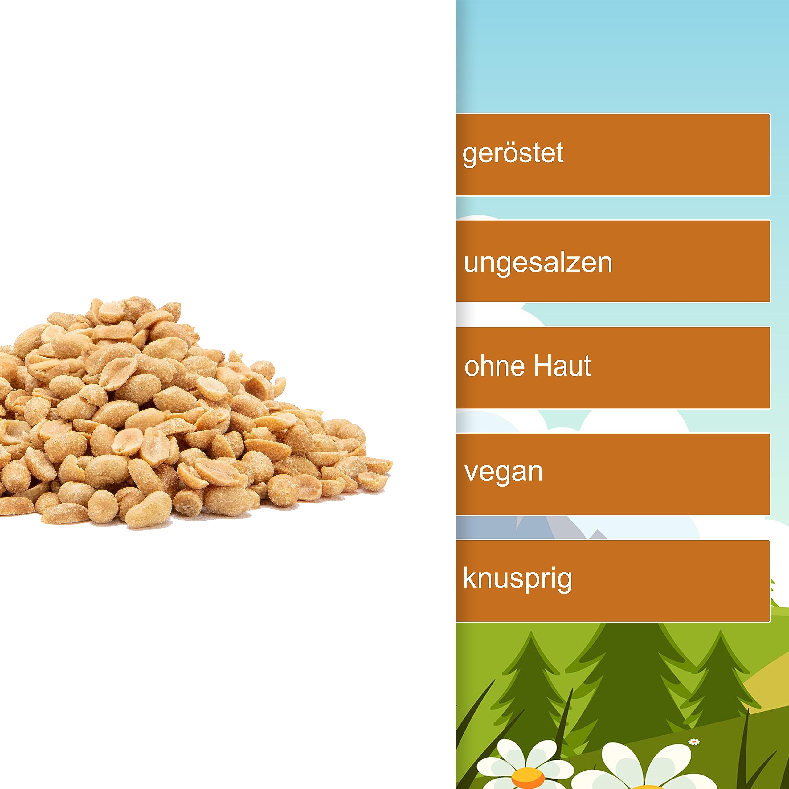 Erdnüsse geröstet 3,5kg - geröstet & OHNE SALZ - knackige Erdnüsse ohne Salz - blanchiert/ohne Haut - getrocknet - Röst Aromen - im praktischen Standbeutel oder im Eimer - (3,5kg Eimer)