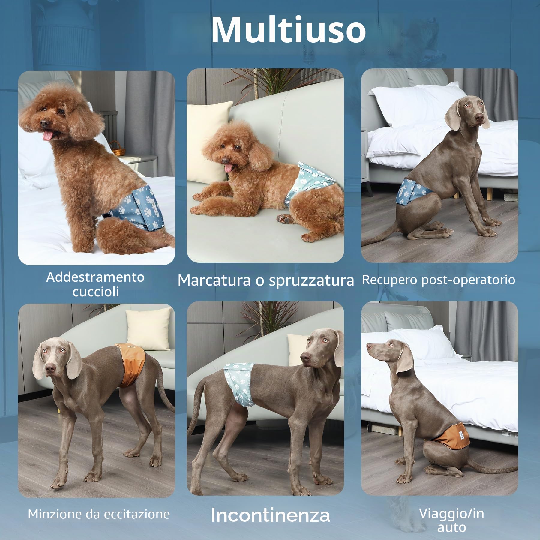 JoyDaog Fasce per Pancia Riutilizzabili per Cani Maschi Pannolini, Confezione da 5 Pannolini Lavabili Premium per Cani Maschi Fasce Pannolino per Cuccioli, S
