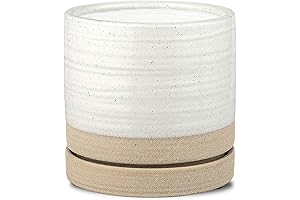 6 Inch Ceramic Planter Pots with Drainage and Saucer