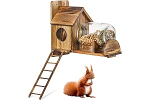 Squirrel Feeder Wood Squirrel Feeders for Outside Funny Squirrel House