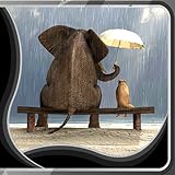 Rain Live Wallpapers