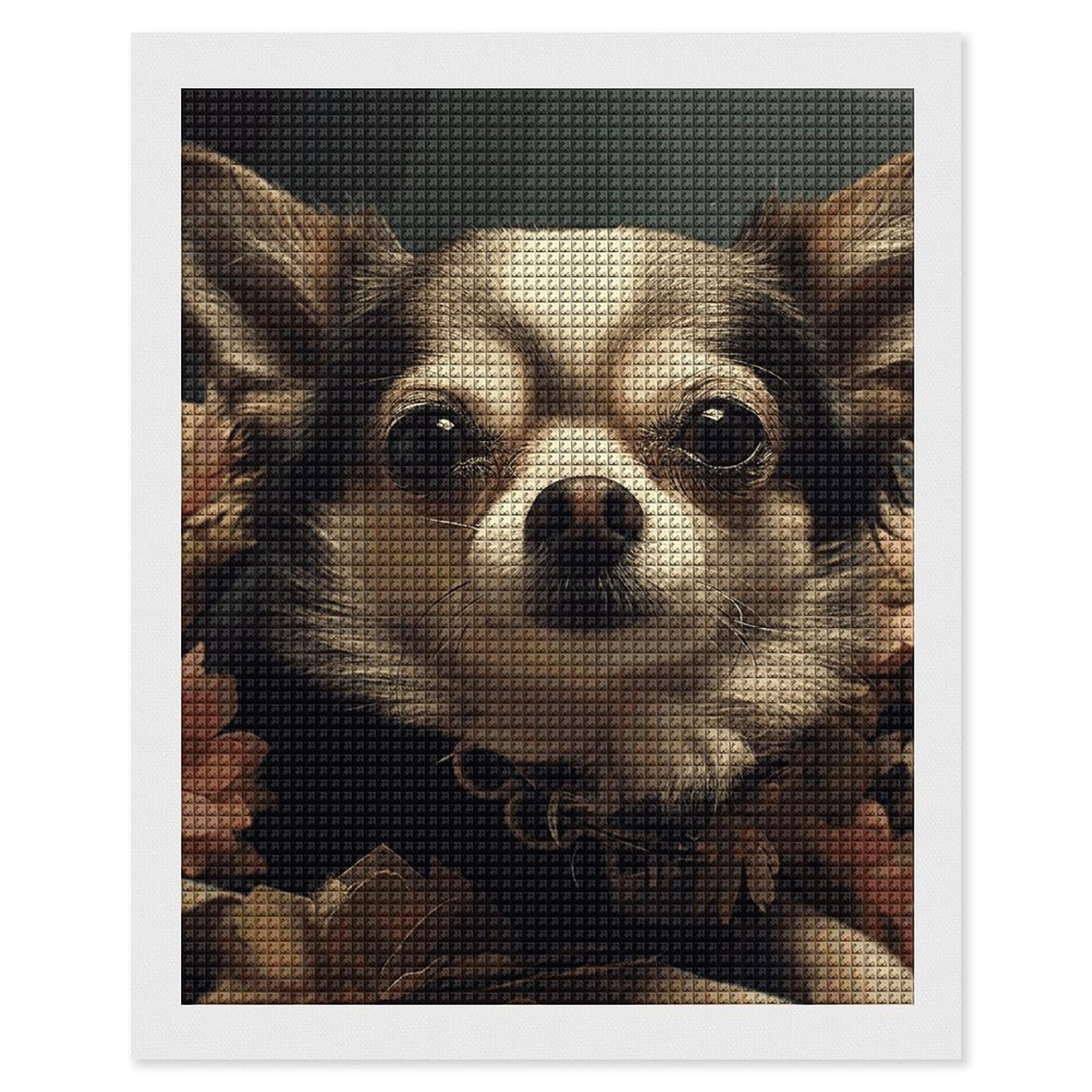Chiwawa Diamond Art Kits for Adults, DIY 5D Diamonds Painting Kits for Beginner, Round Full Drill Diamond Dots Painting, 16"x20" Diamonds Pictures Gem Art and Crafts Wall Decor