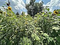 Review Image by Kara Riba Kara Riba