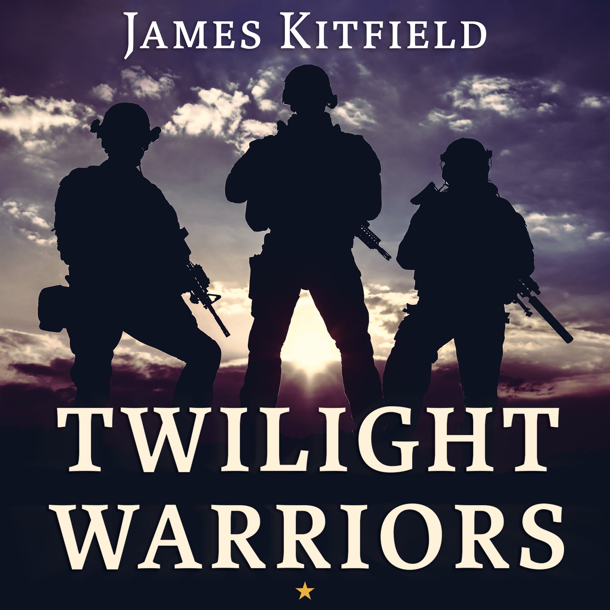 Cover art for Twilight Warriors