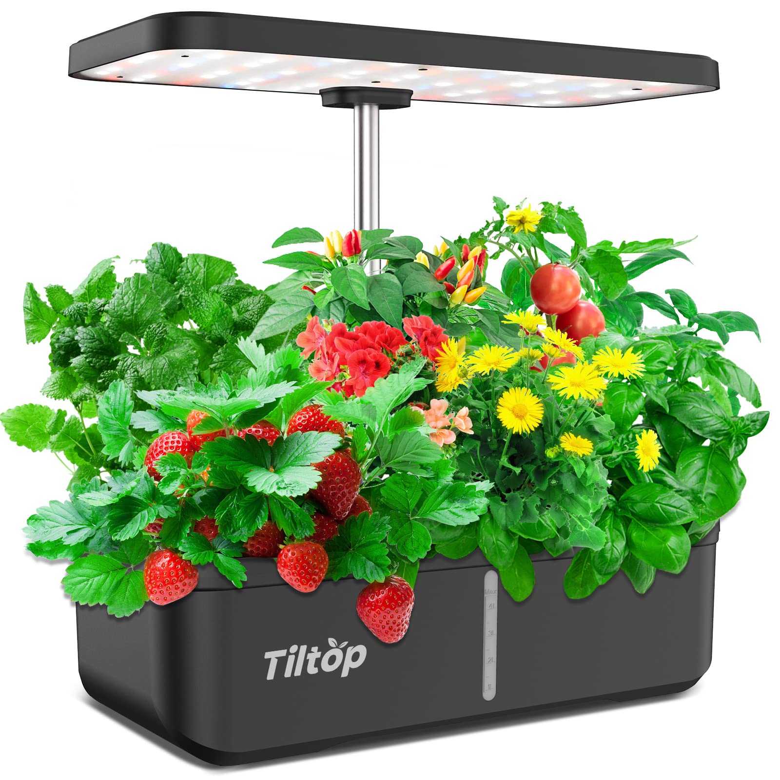 Buy Hydroponics Growing System 12 Pods Indoor Garden with 36W LED Grow