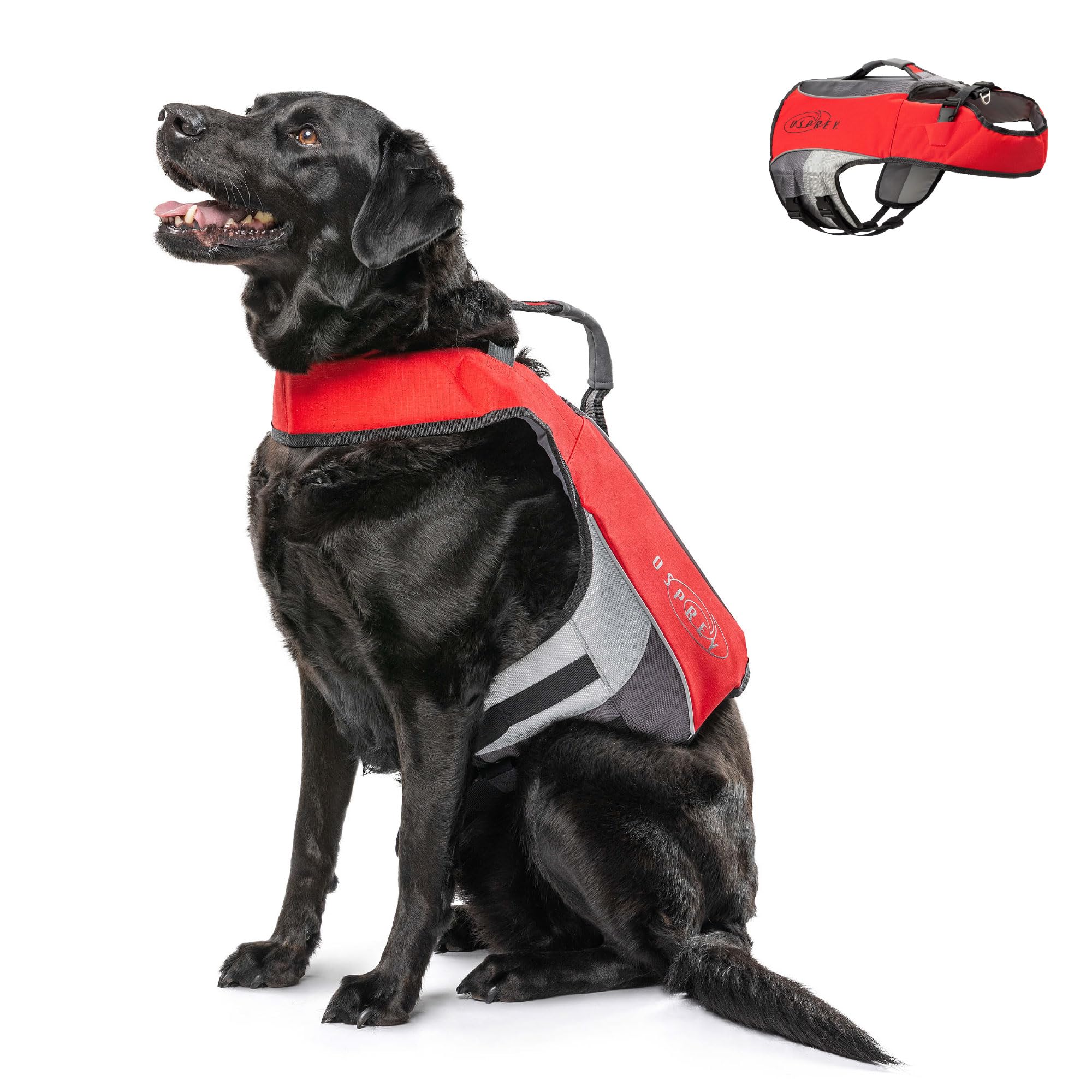 Osprey Gilet de Sauvetage pour Chien, Aide à la flottabilité réglable avec poignée, Bandes réfléchissantes, Convient aux Chiens de Petite, Moyenne et Grande Taille – Gilet de sécurité pour Les